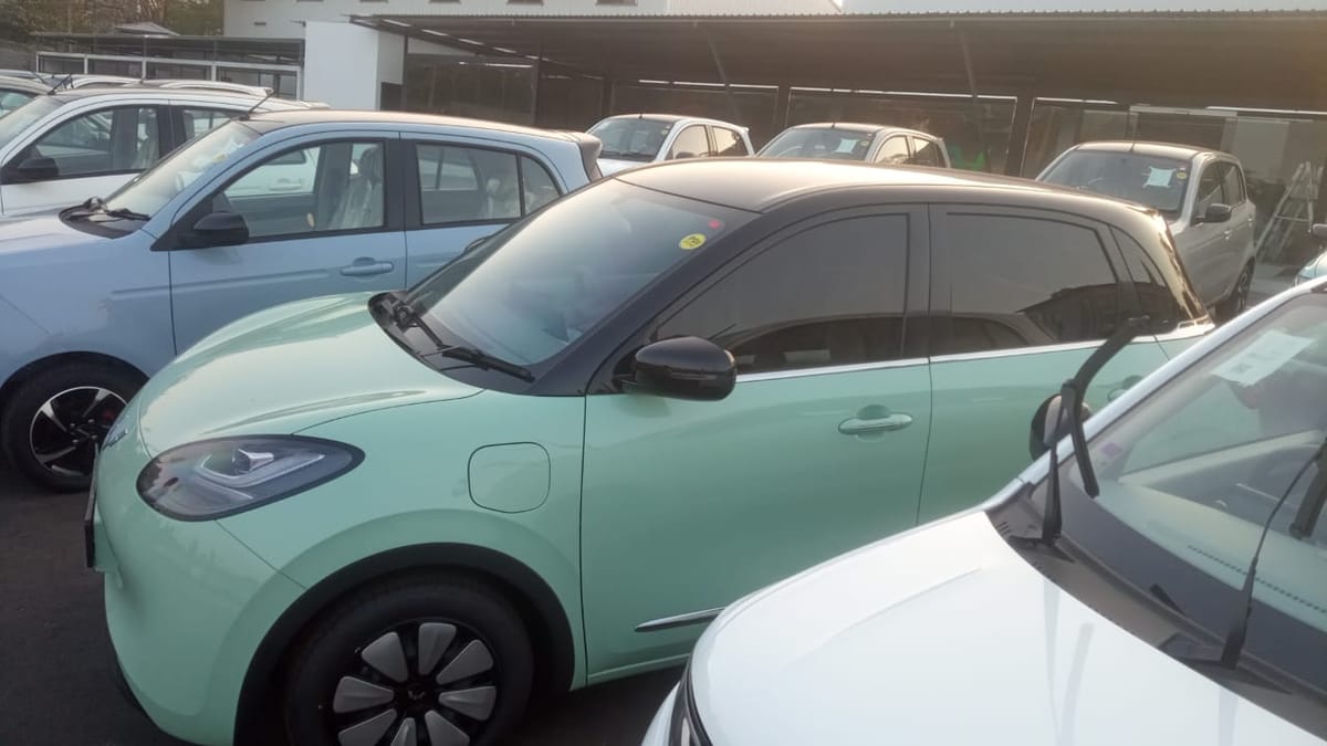 මගේම බිංගෝ කා එක මං ගෙදර අරං ආපු මුල්ම දවස